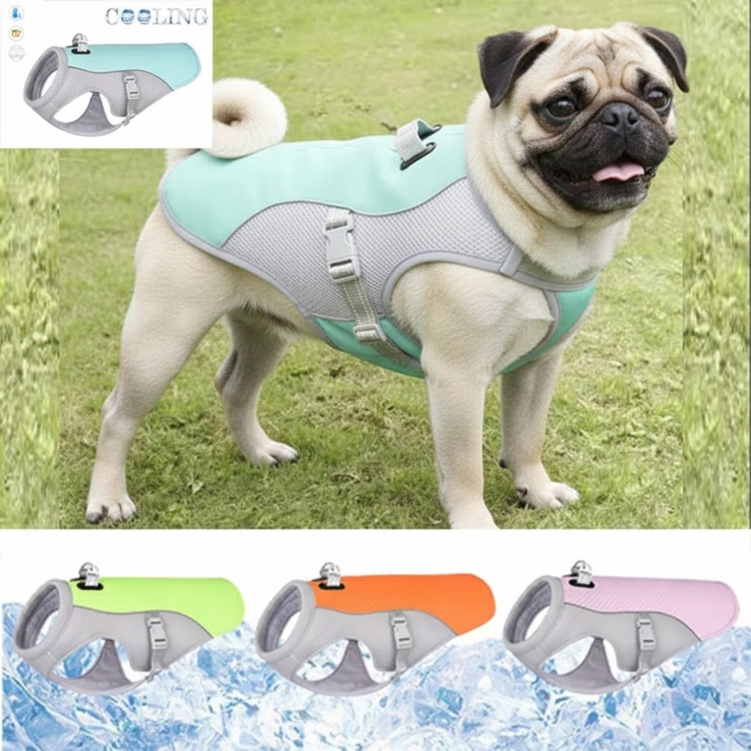 CoolPaw-Pug-Summer-Cooling-Vest.jpg