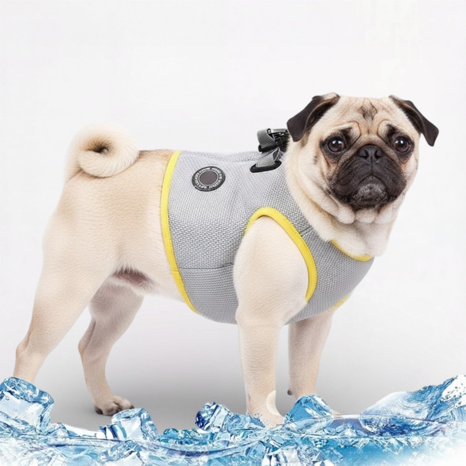 Coolify-Pug-Cooling-Harness-Vest.jpg