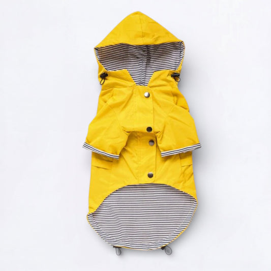 Cooper-Pug-Raincoat.jpg