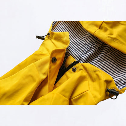 Cooper-Pug-Raincoat.jpg