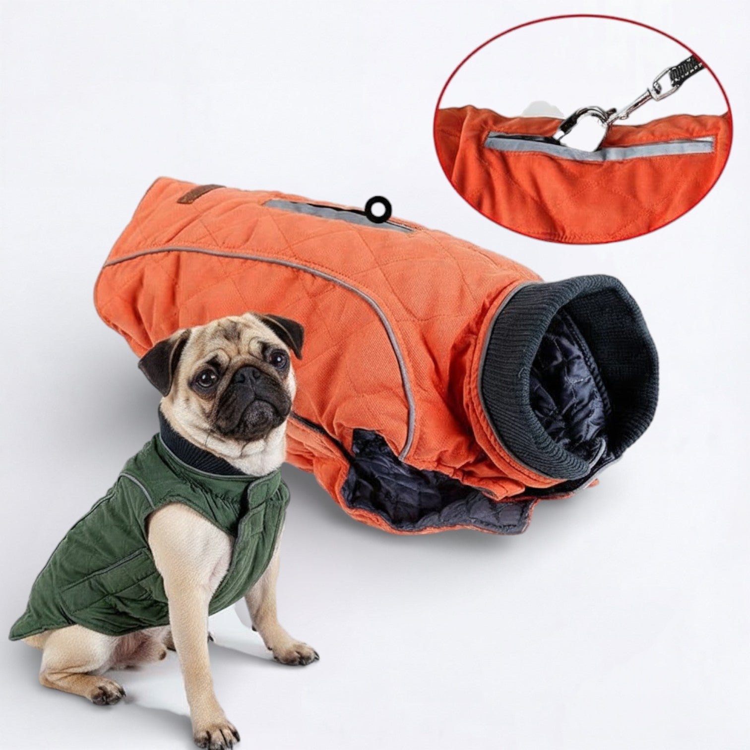 Cooper-Pug-Reflective-Jacket.jpg
