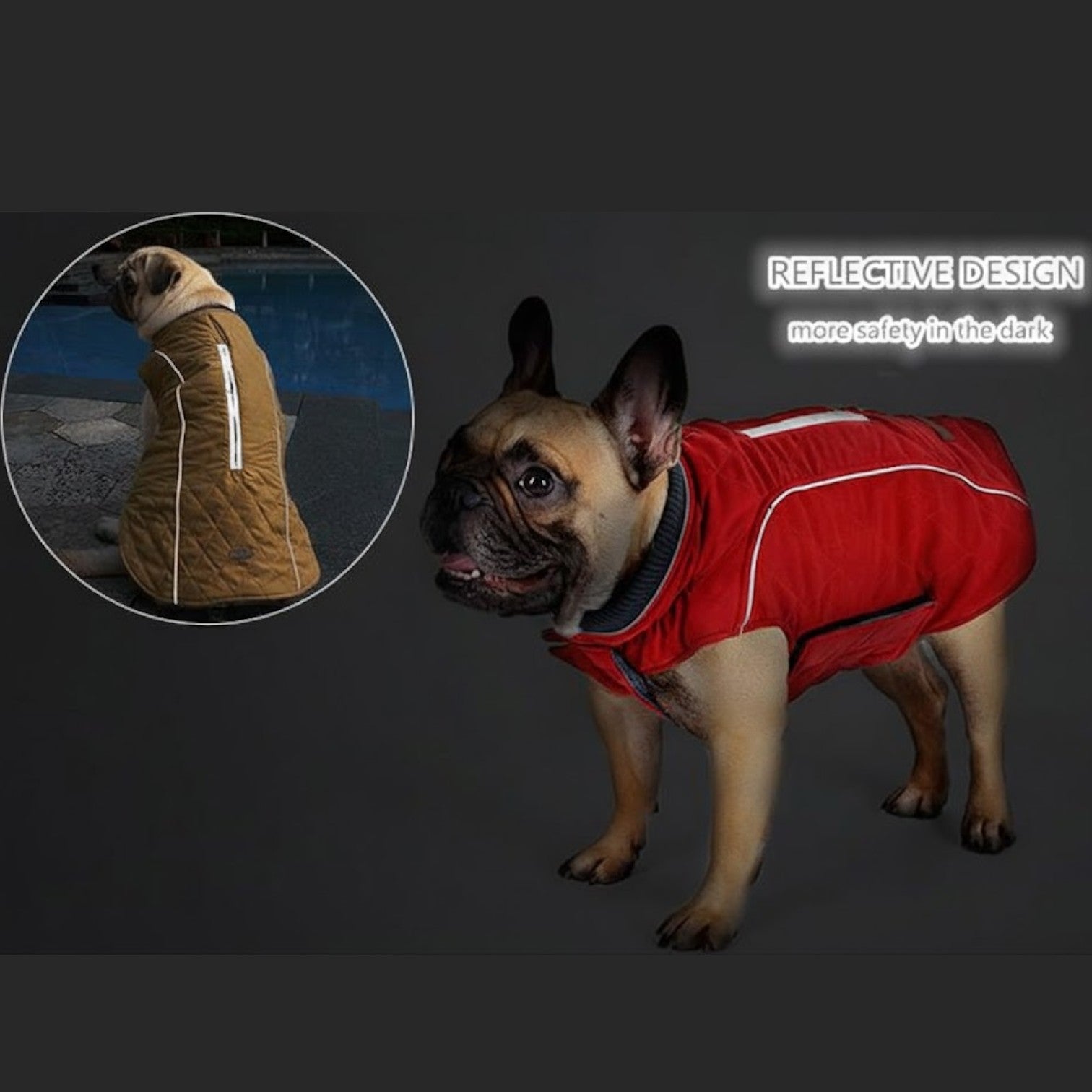 Cooper-Pug-Reflective-Jacket.jpg