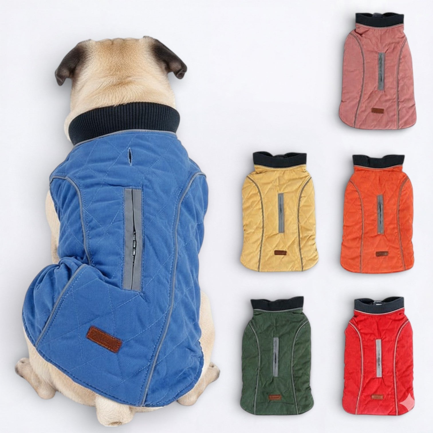 Cooper-Pug-Reflective-Jacket.jpg