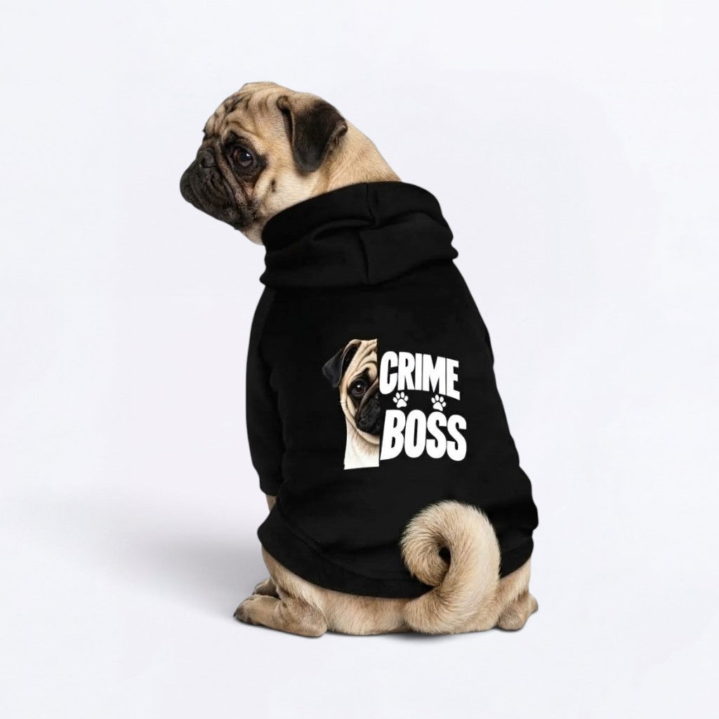 Pixie  - Cotton Dog Hoodie | Matching Pet Hoodie for Dog & Owner Set
