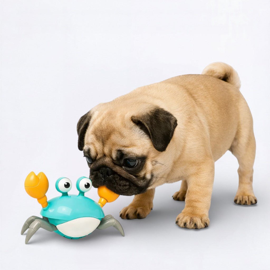 CrabToy-Pug-Interactive-Smart-Toy.jpg