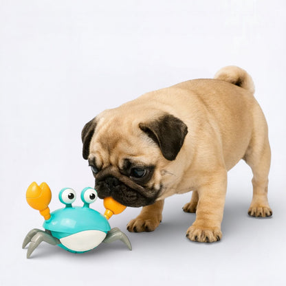 CrabToy-Pug-Interactive-Smart-Toy.jpg