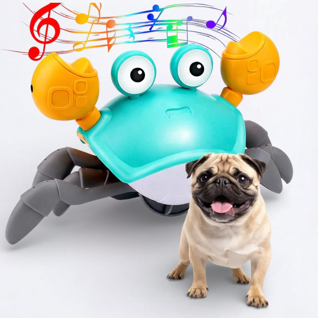 CrabToy-Pug-Interactive-Smart-Toy.jpg