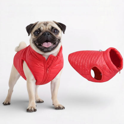 CrownPaw-Pug-Winter-Jacket.jpg