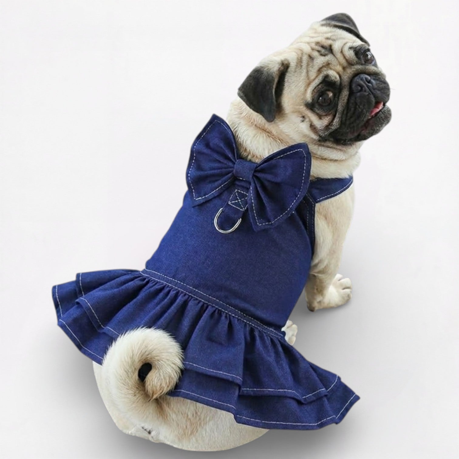 DenimPaw-Pug-Stylish-Denim.jpg