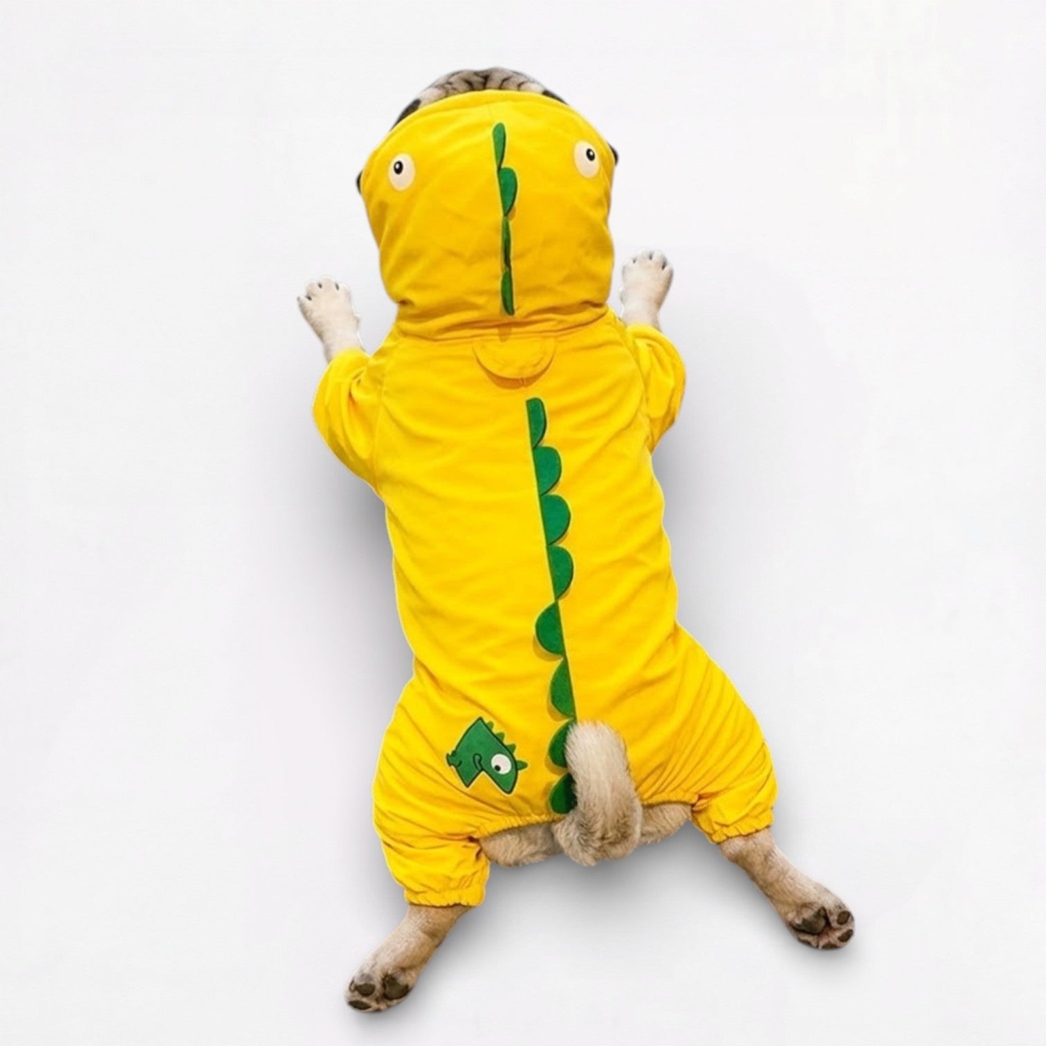 DinoPaw-Pug-Dinosaur-Raincoat.jpg