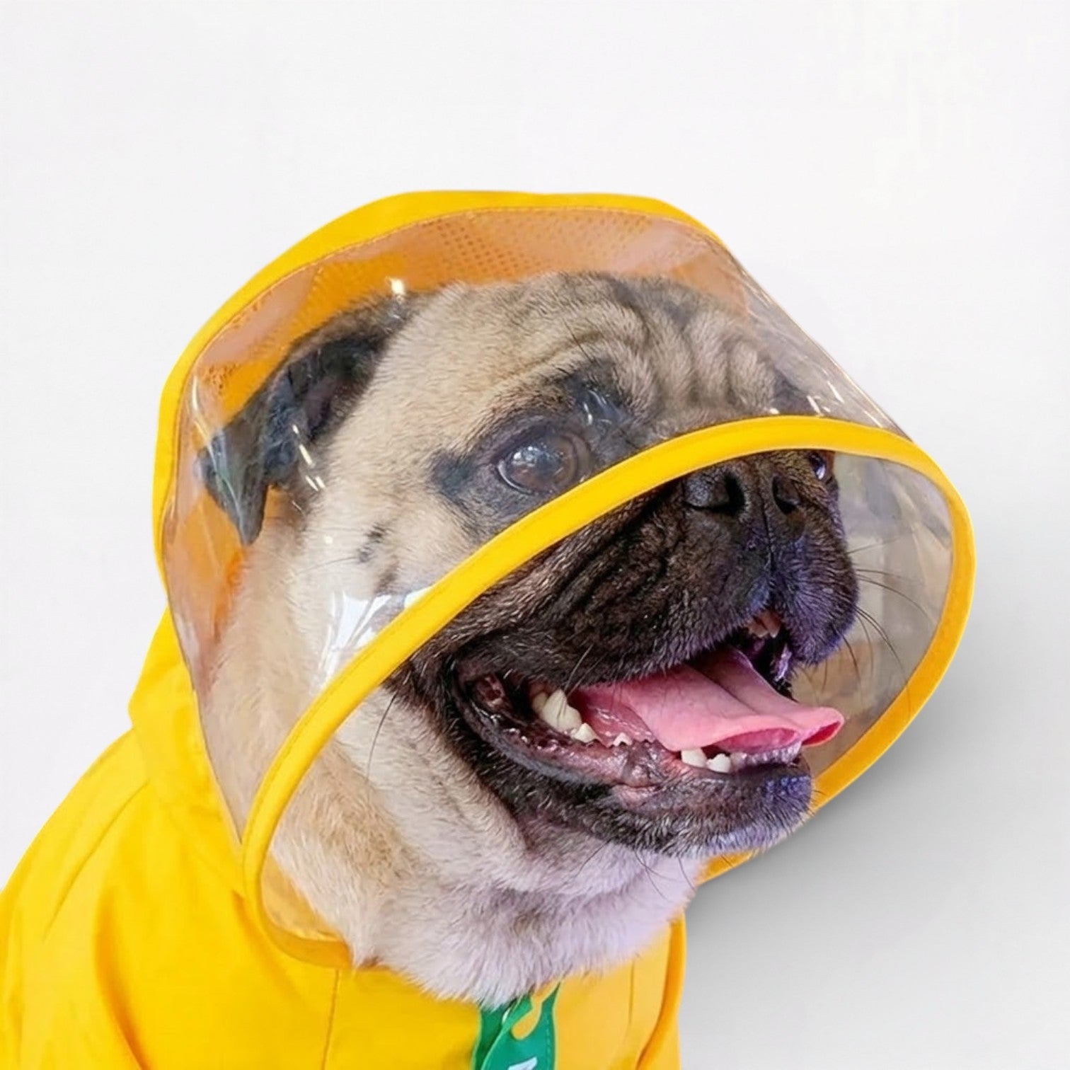 DinoPaw-Pug-Dinosaur-Raincoat.jpg