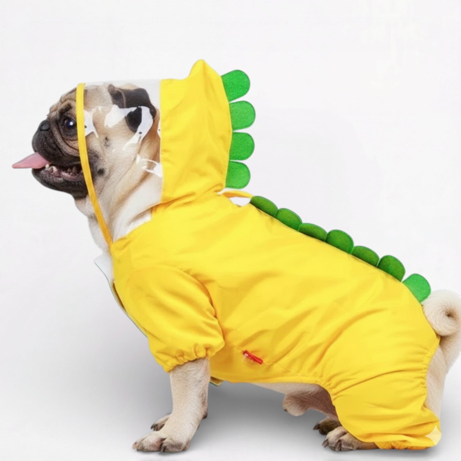 DinoPaw-Pug-Dinosaur-Raincoat.jpg