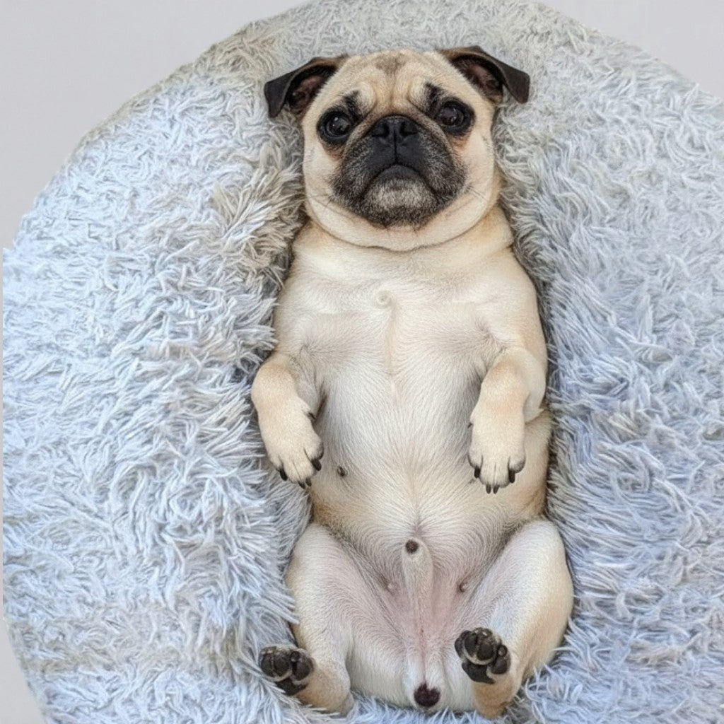 Donutly-Pug-Anti-Anxiety-Bed.jpg