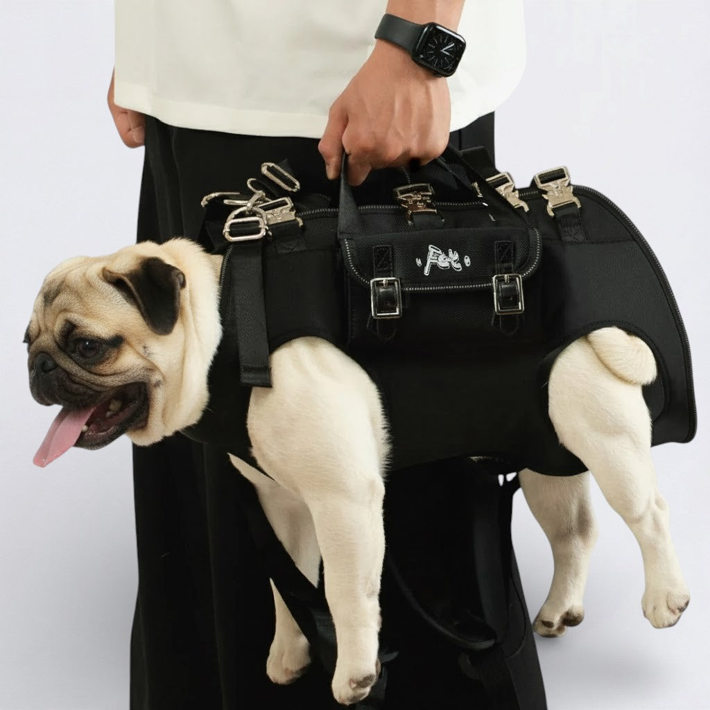 Double-Shoulder-Pug-Carrier-Backpack.jpg
