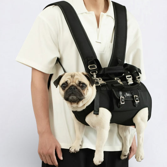 Double-Shoulder-Pug-Carrier-Backpack.jpg