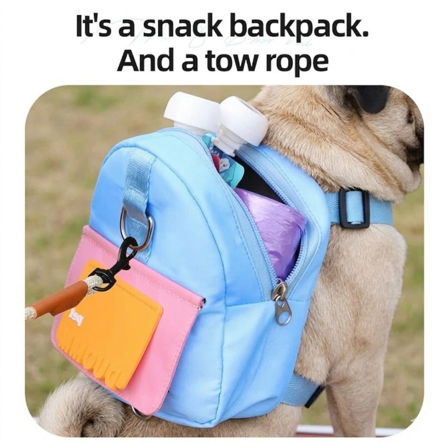 DuoMM-Pug-Harness-Backpack.jpg