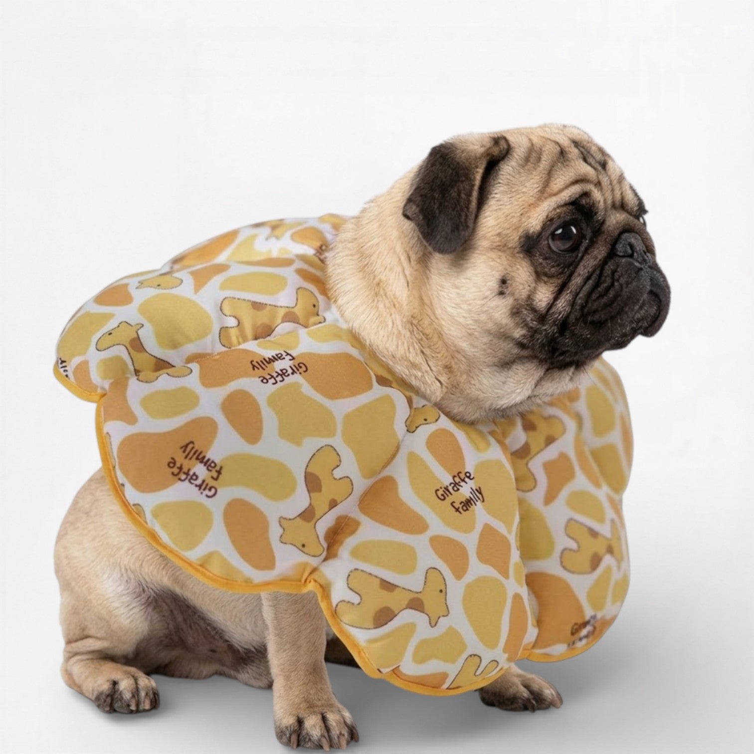 ElizaPaw-Pug-Soft-Elizabethan.jpg