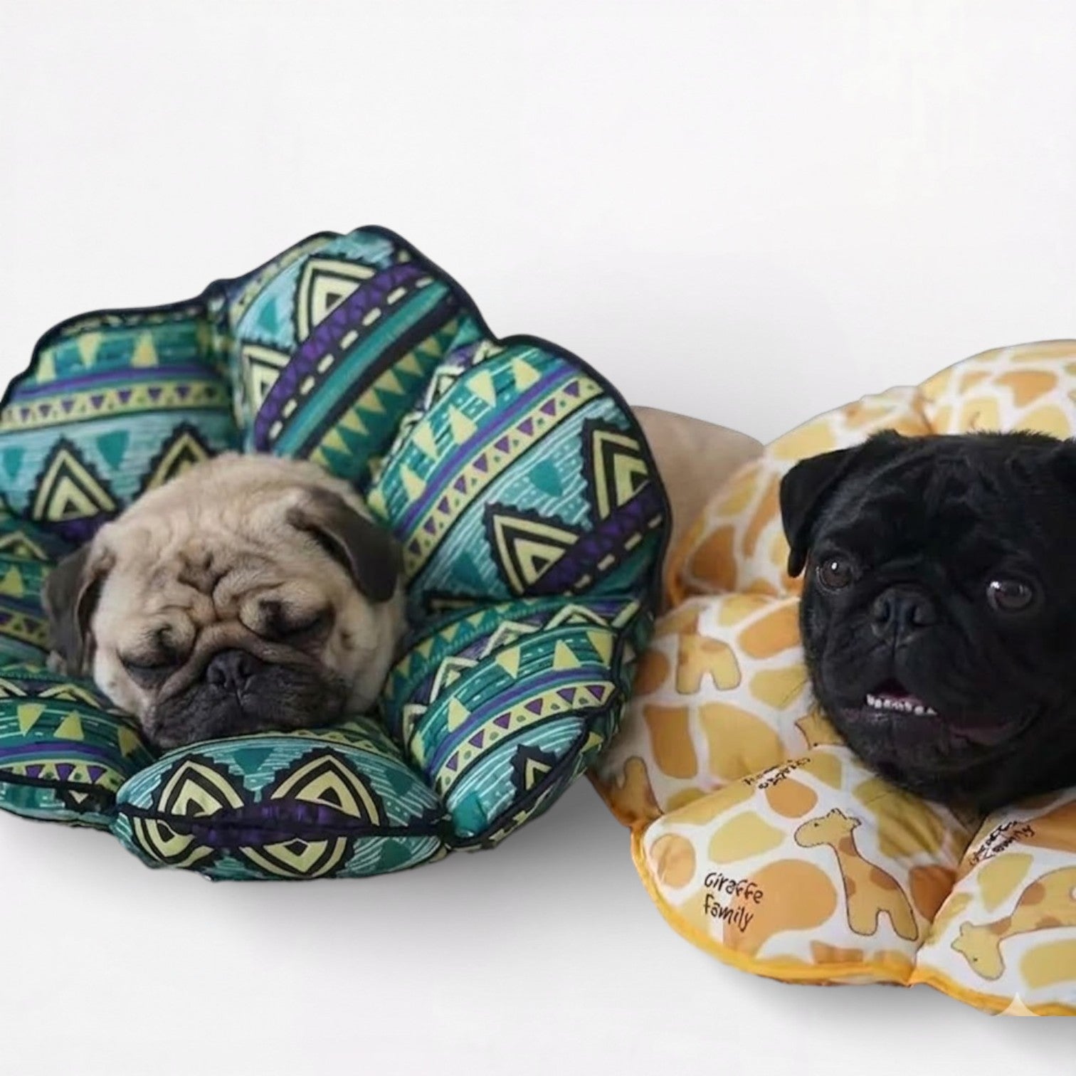 ElizaPaw-Pug-Soft-Elizabethan.jpg