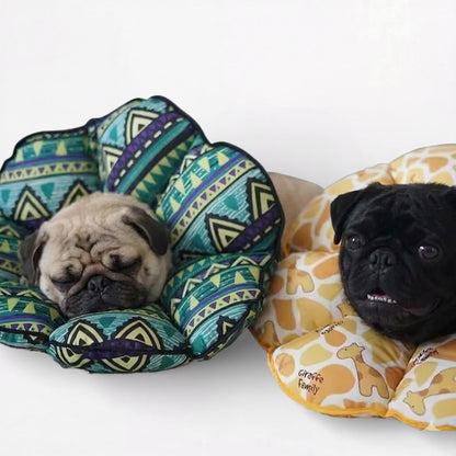 ElizaPaw-Pug-Soft-Elizabethan.jpg