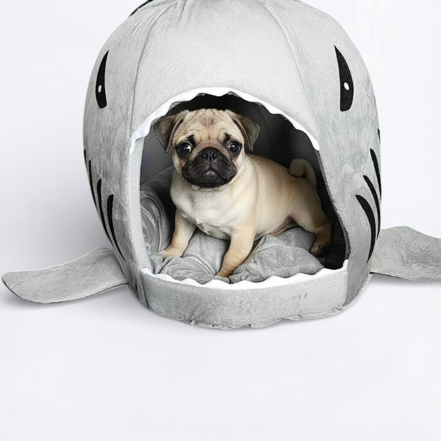 FinNest-Pugs-Shark-Bed.jpg