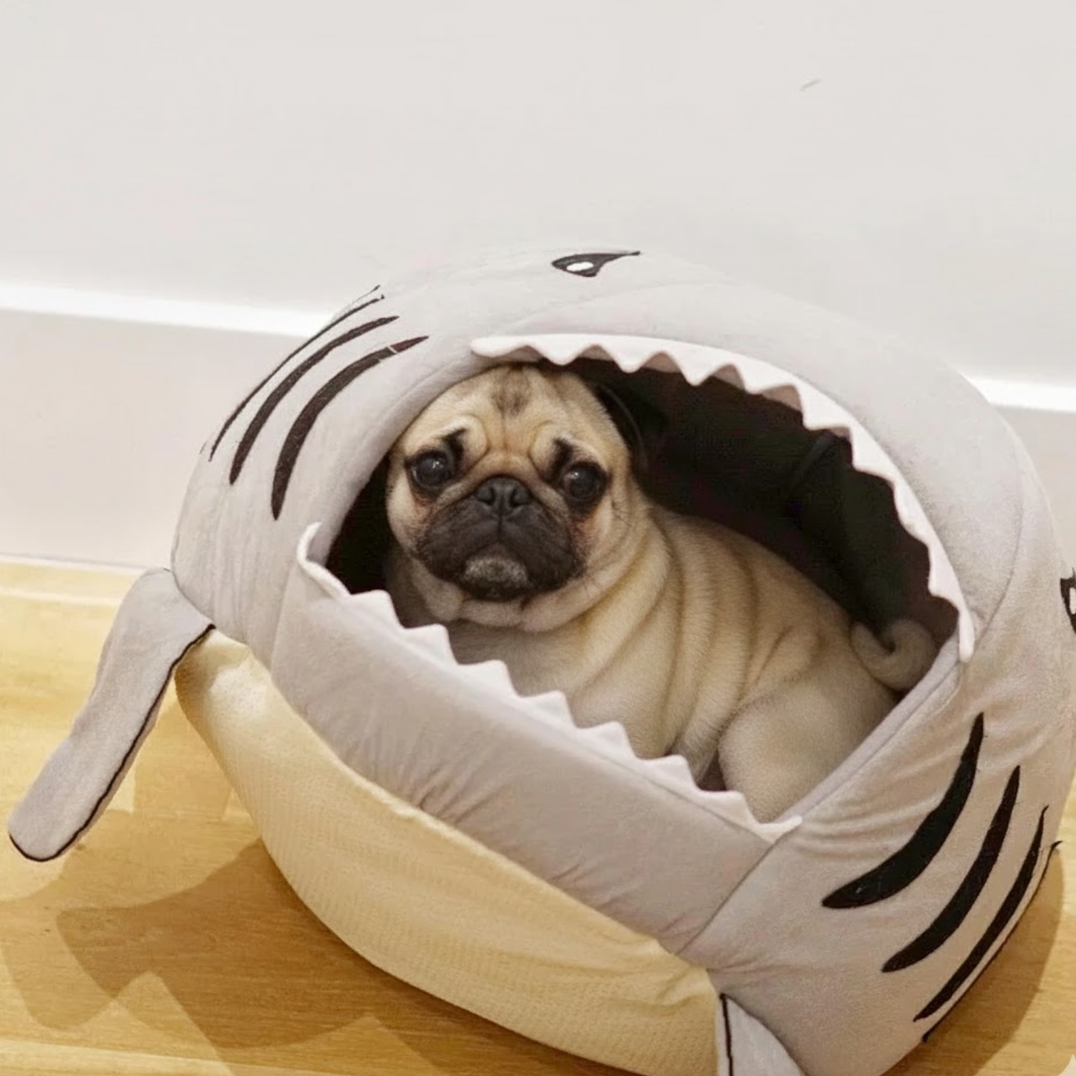 FinNest-Pugs-Shark-Bed.jpg