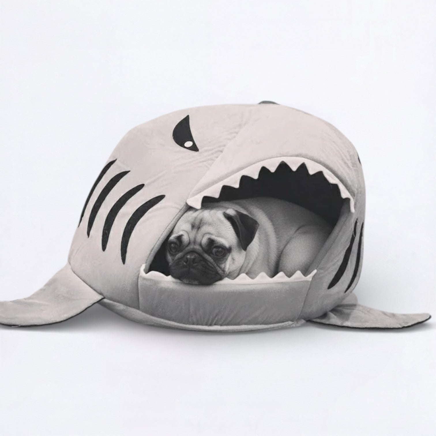 FinNest-Pugs-Shark-Bed.jpg