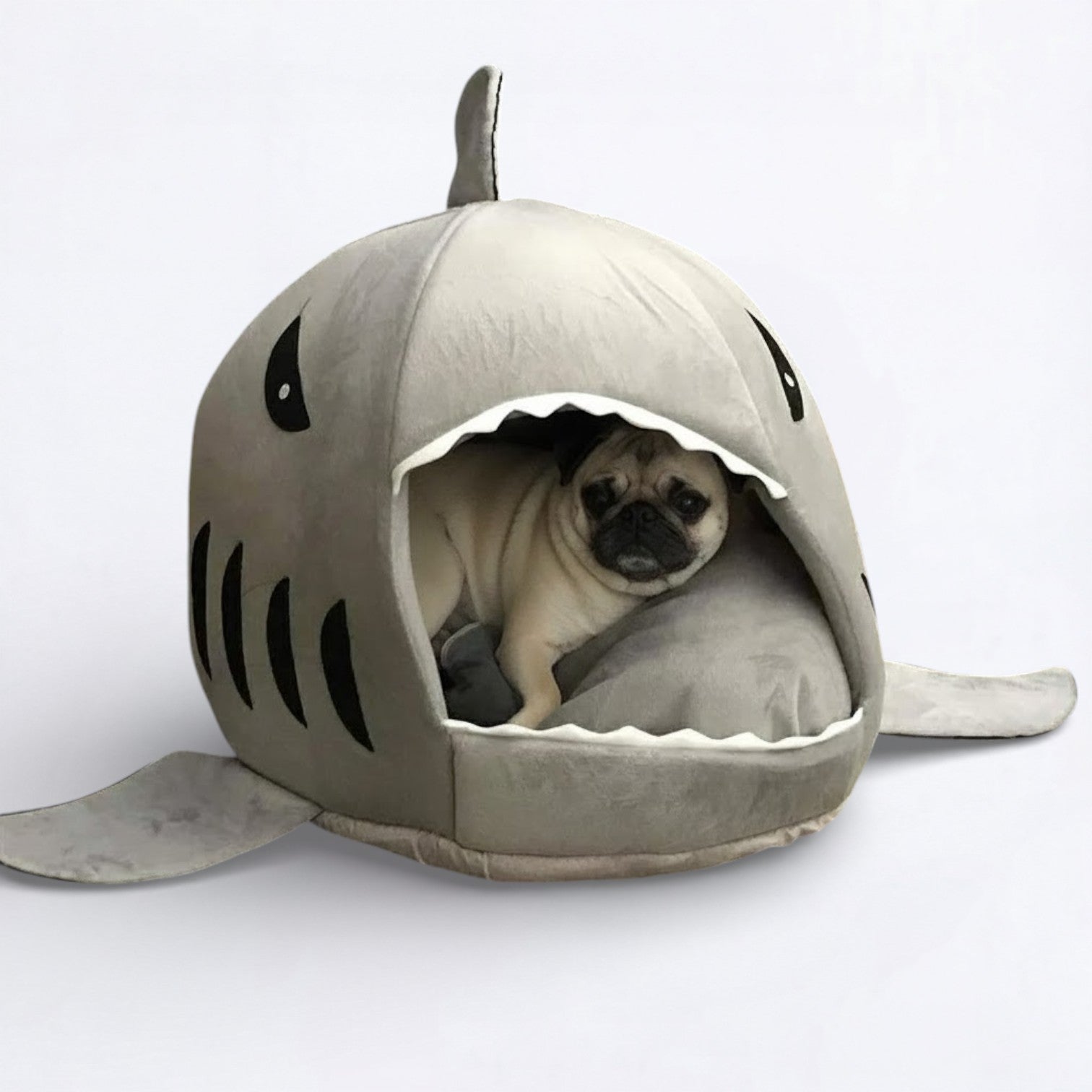 FinNest-Pugs-Shark-Bed.jpg