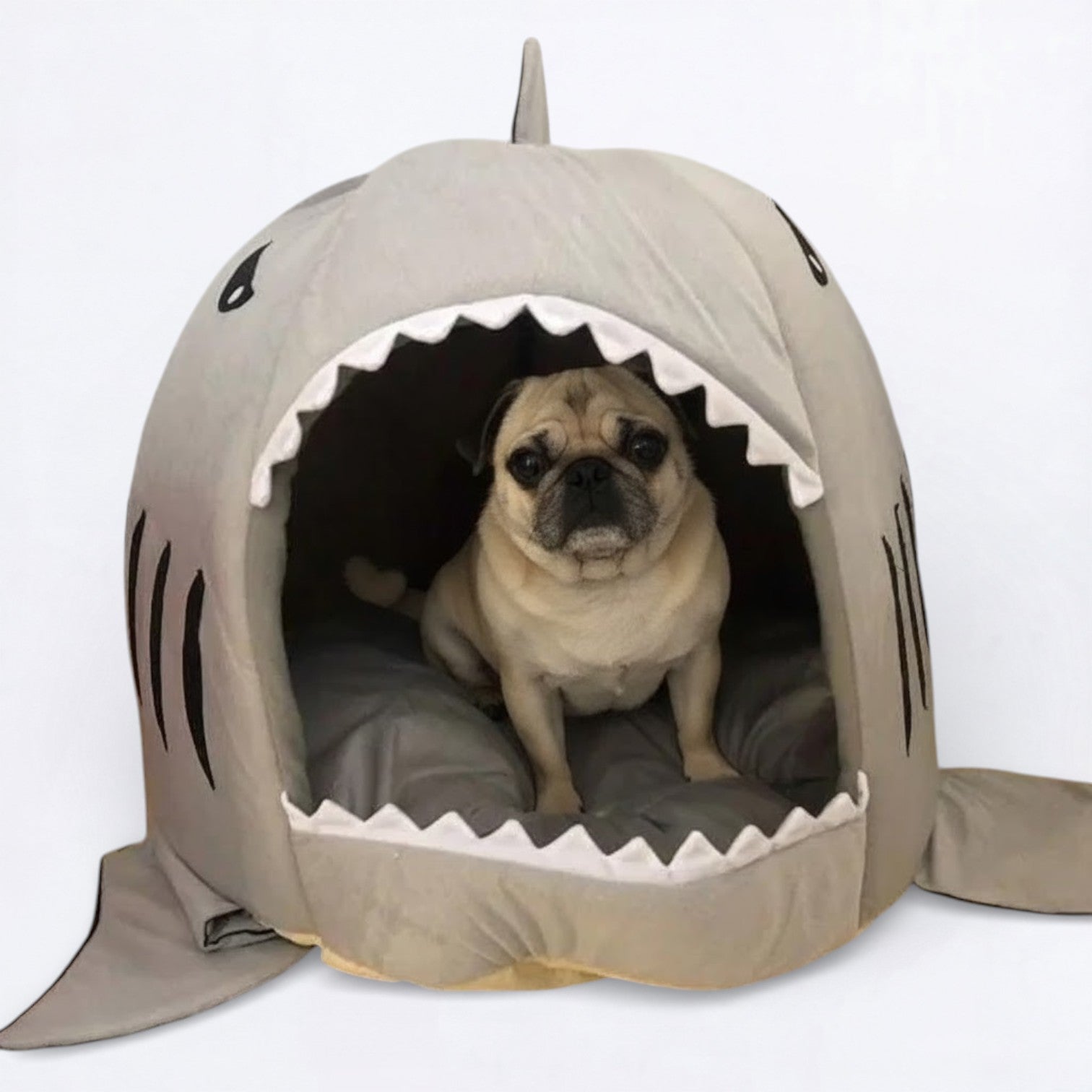 FinNest-Pugs-Shark-Bed.jpg