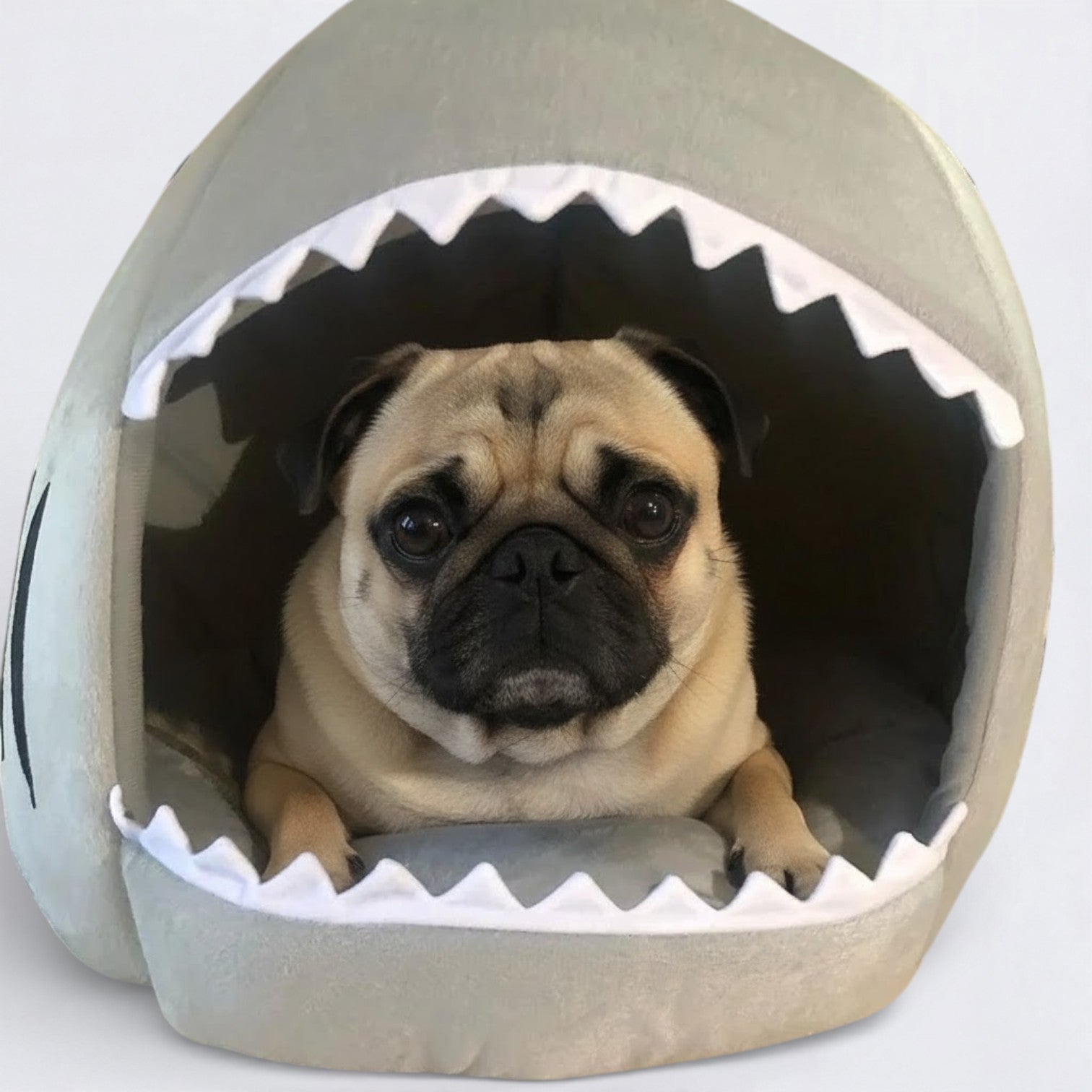 FinNest-Pugs-Shark-Bed.jpg