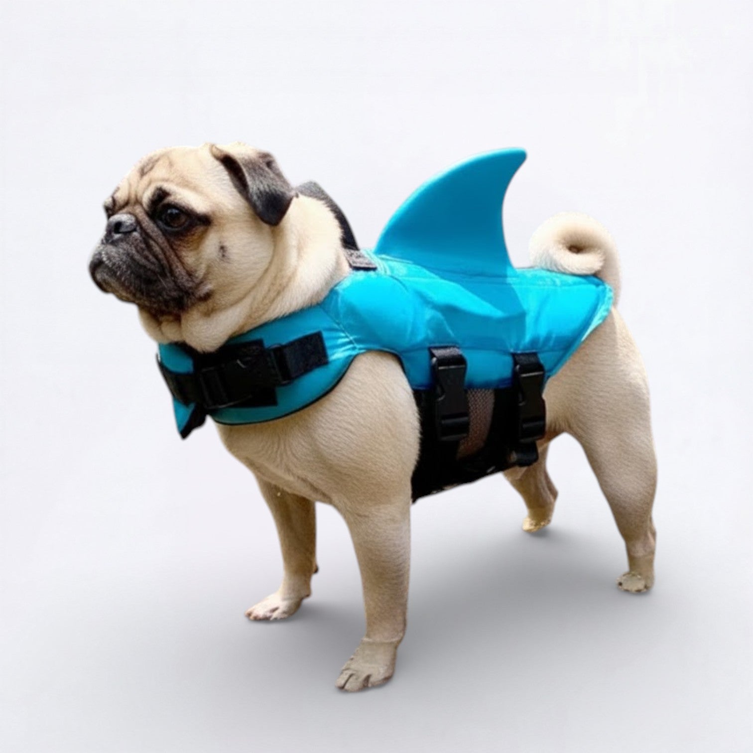 Finzy-Pug-Shark-Life-Vest.jpg