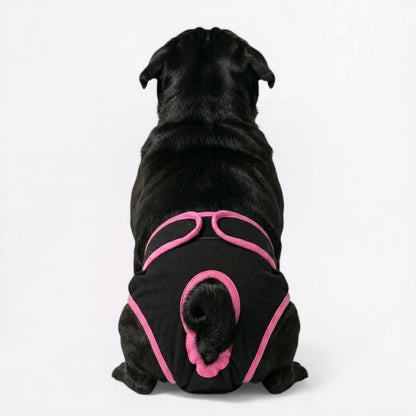 FlexiPaw-Pug-Adjustable-Diaper.jpg
