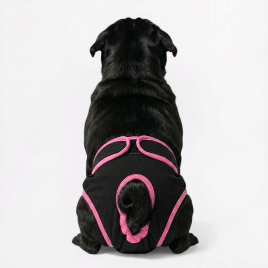 FlexiPaw-Pug-Adjustable-Diaper.jpg