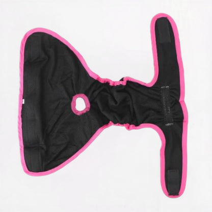 FlexiPaw-Pug-Adjustable-Diaper.jpg