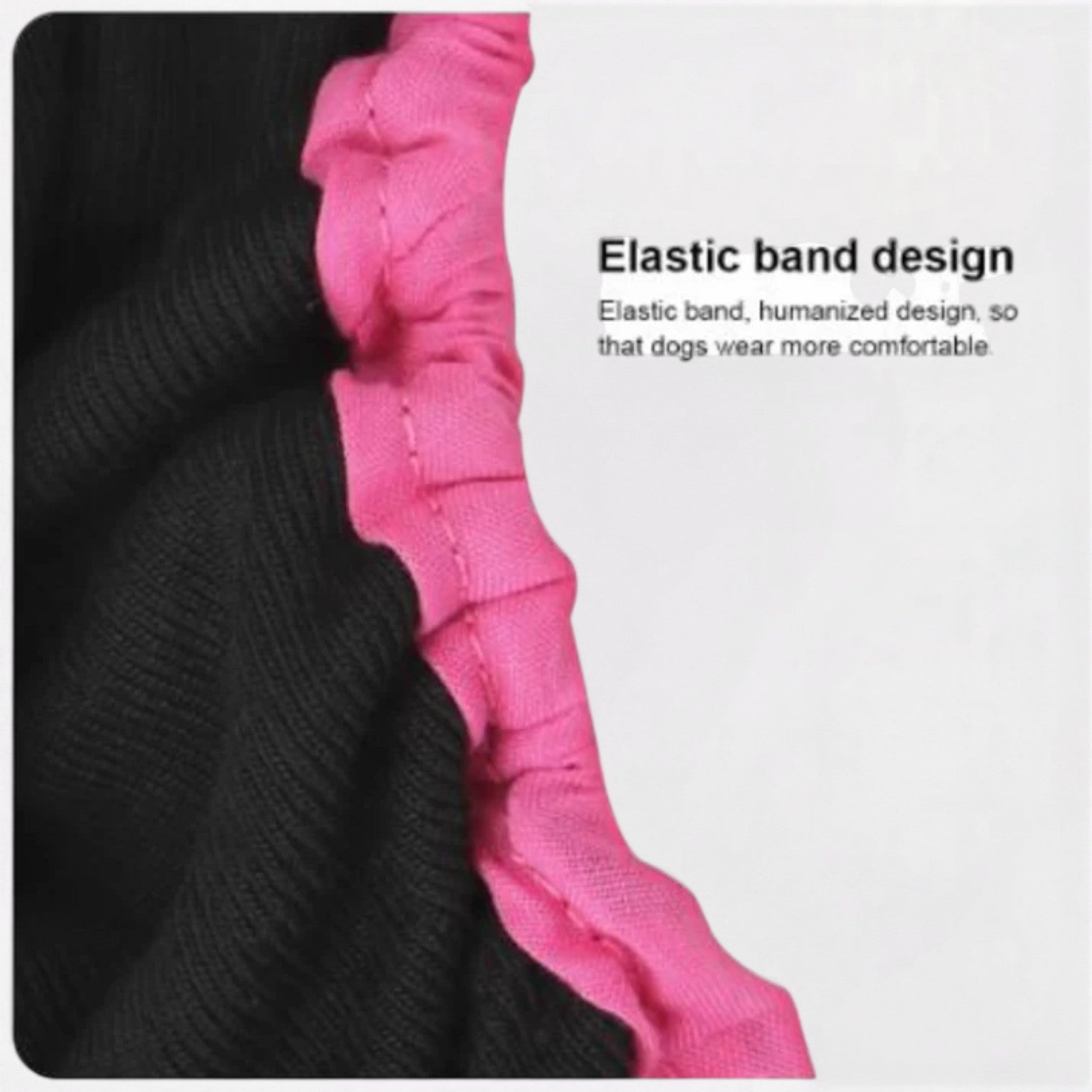 FlexiPaw-Pug-Adjustable-Diaper.jpg