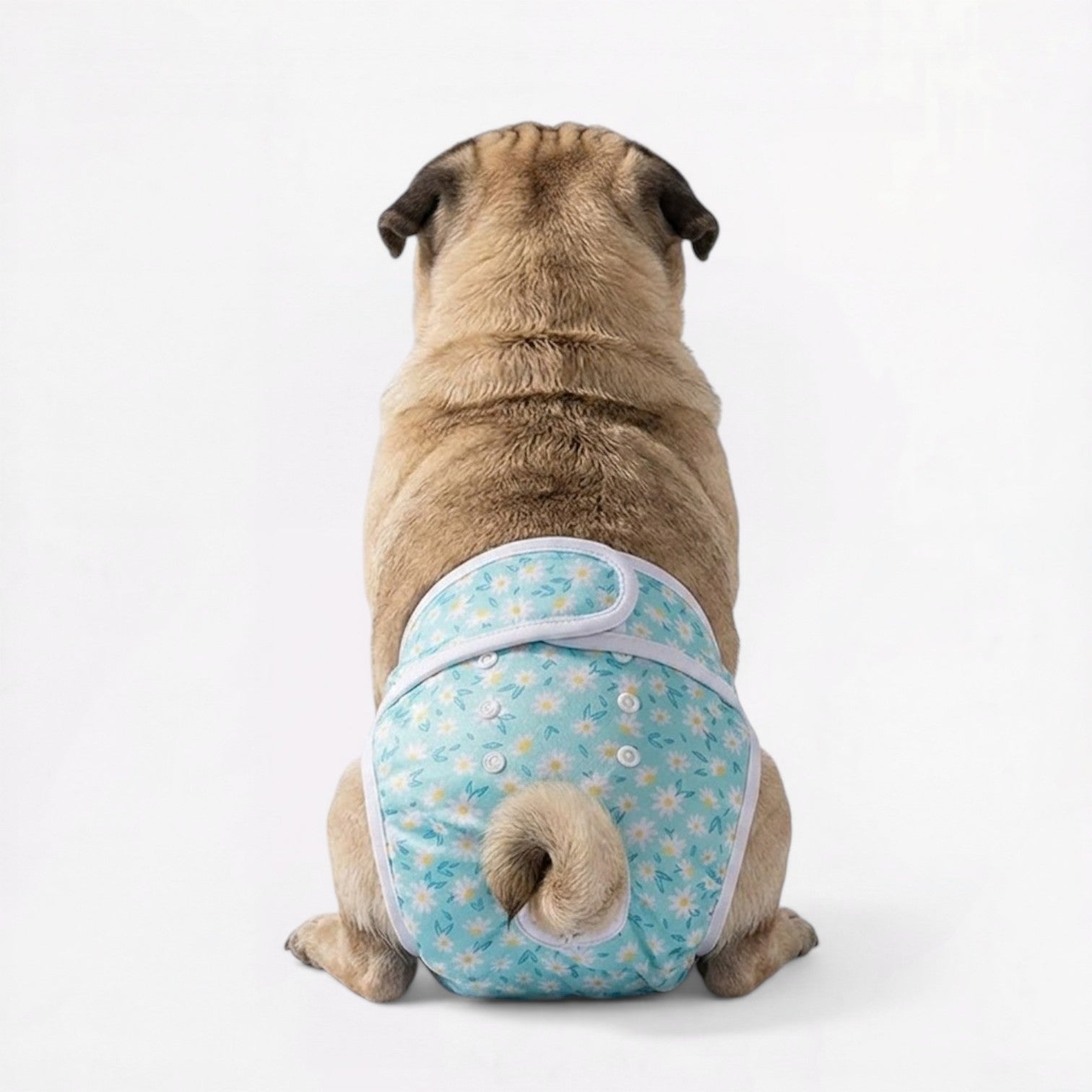 FloraPaw-Pug-Floral-Diaper.jpg