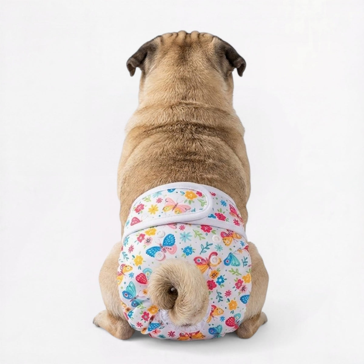 FloraPaw-Pug-Floral-Diaper.jpg
