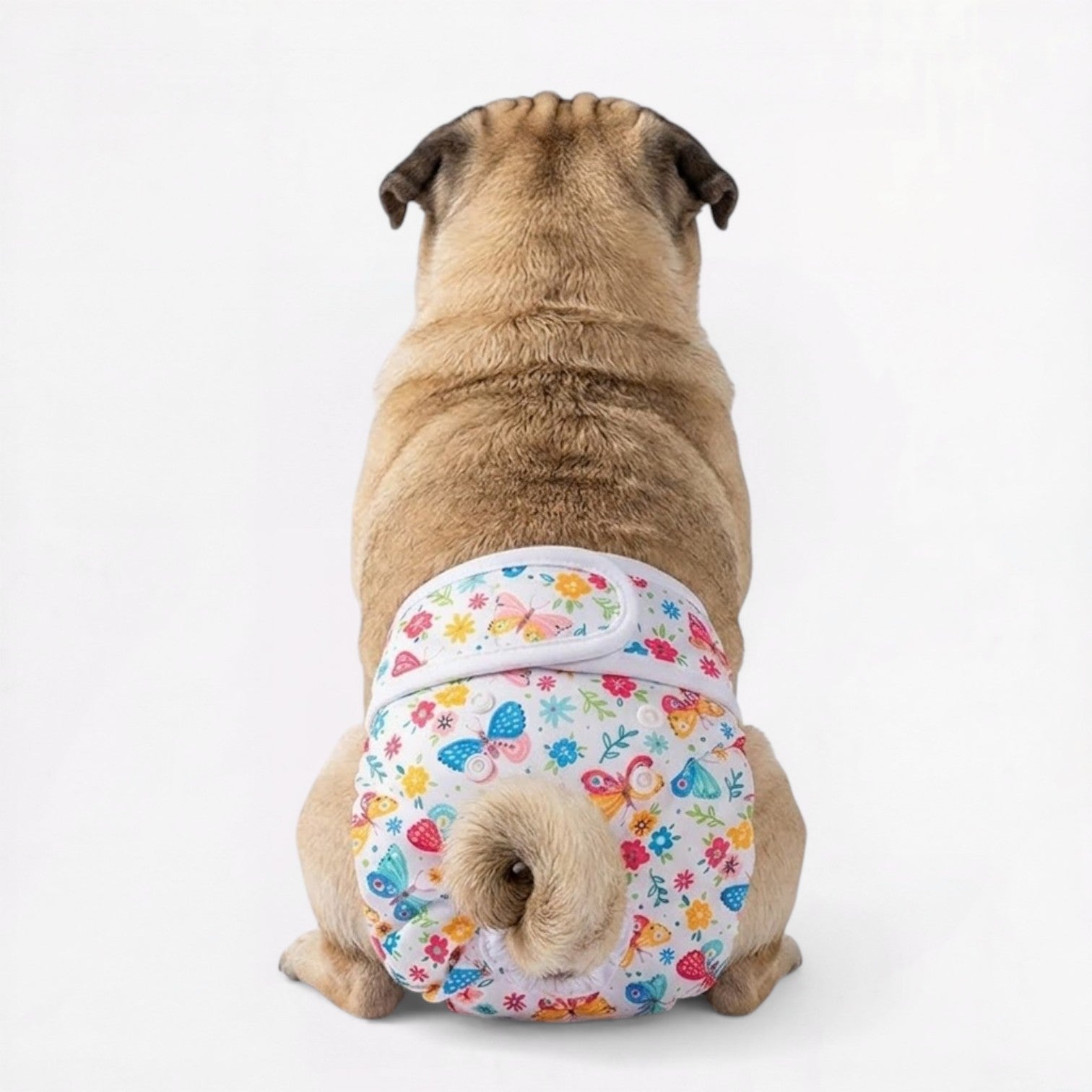 FloraPaw-Pug-Floral-Diaper.jpg
