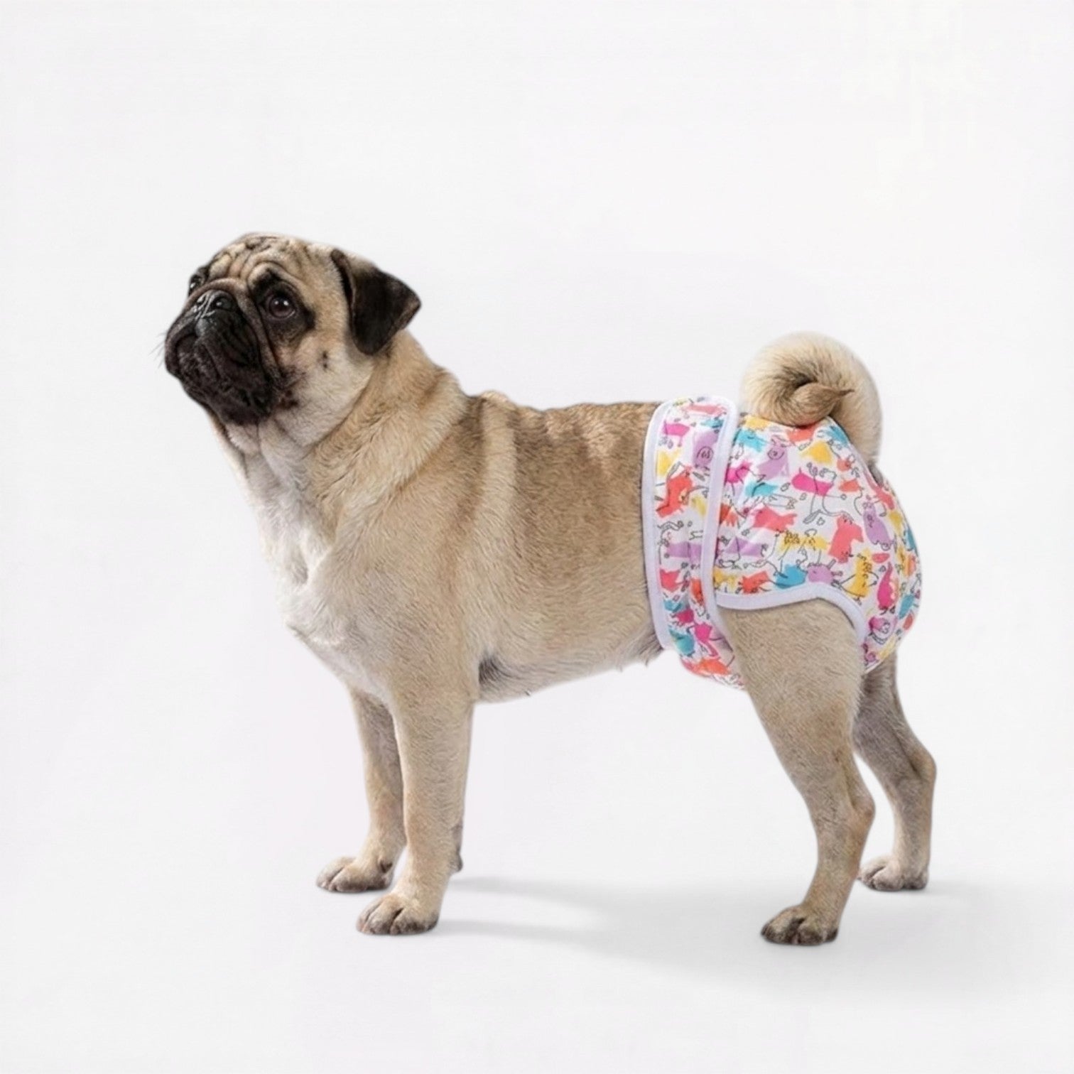FloraPaw-Pug-Floral-Diaper.jpg