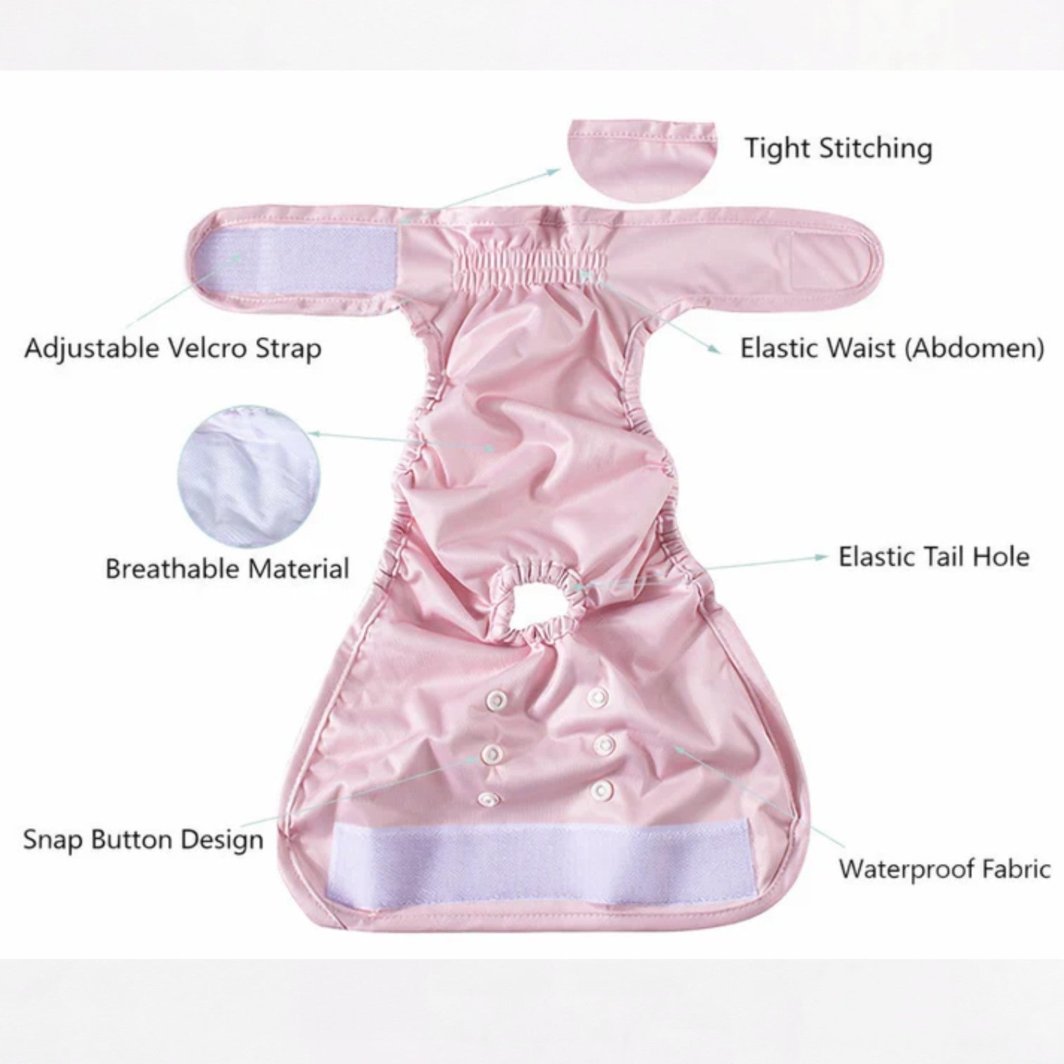 FloraPaw-Pug-Floral-Diaper.jpg