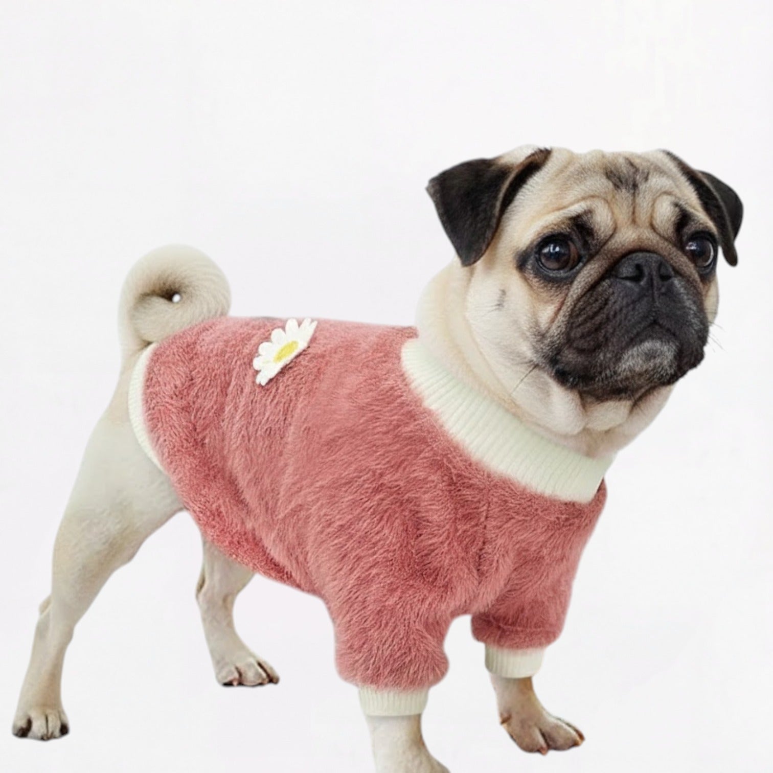 Flora-Pug-Sweater.jpg