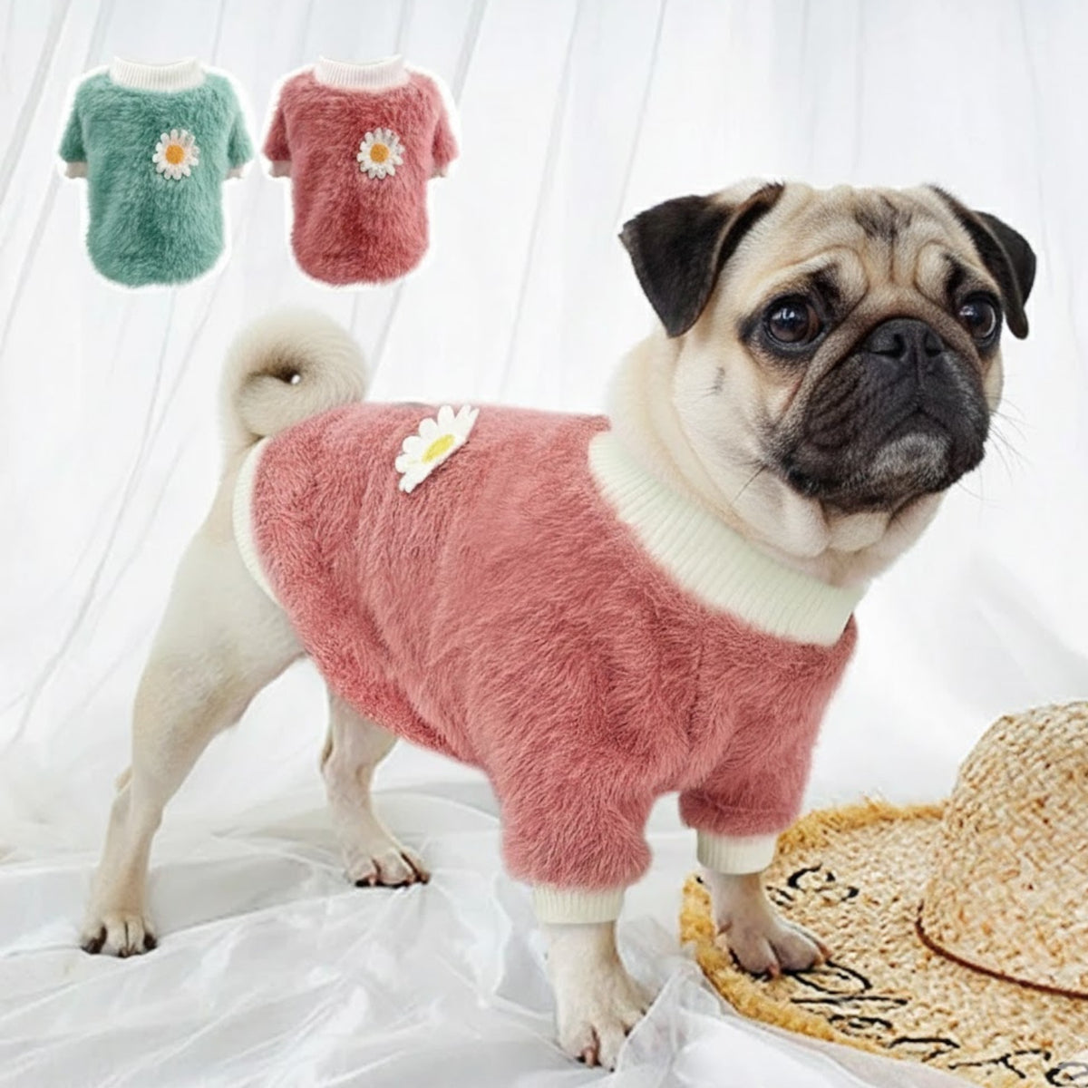 Flora-Pug-Sweater.jpg