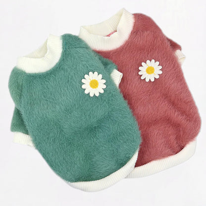 Flora-Pug-Sweater.jpg
