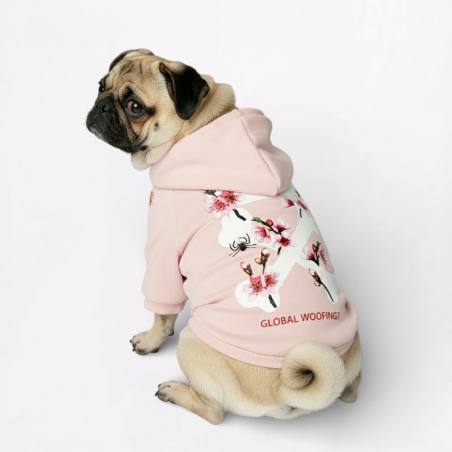 Frenchdot-Pug-Woof-Hoodie.jpg