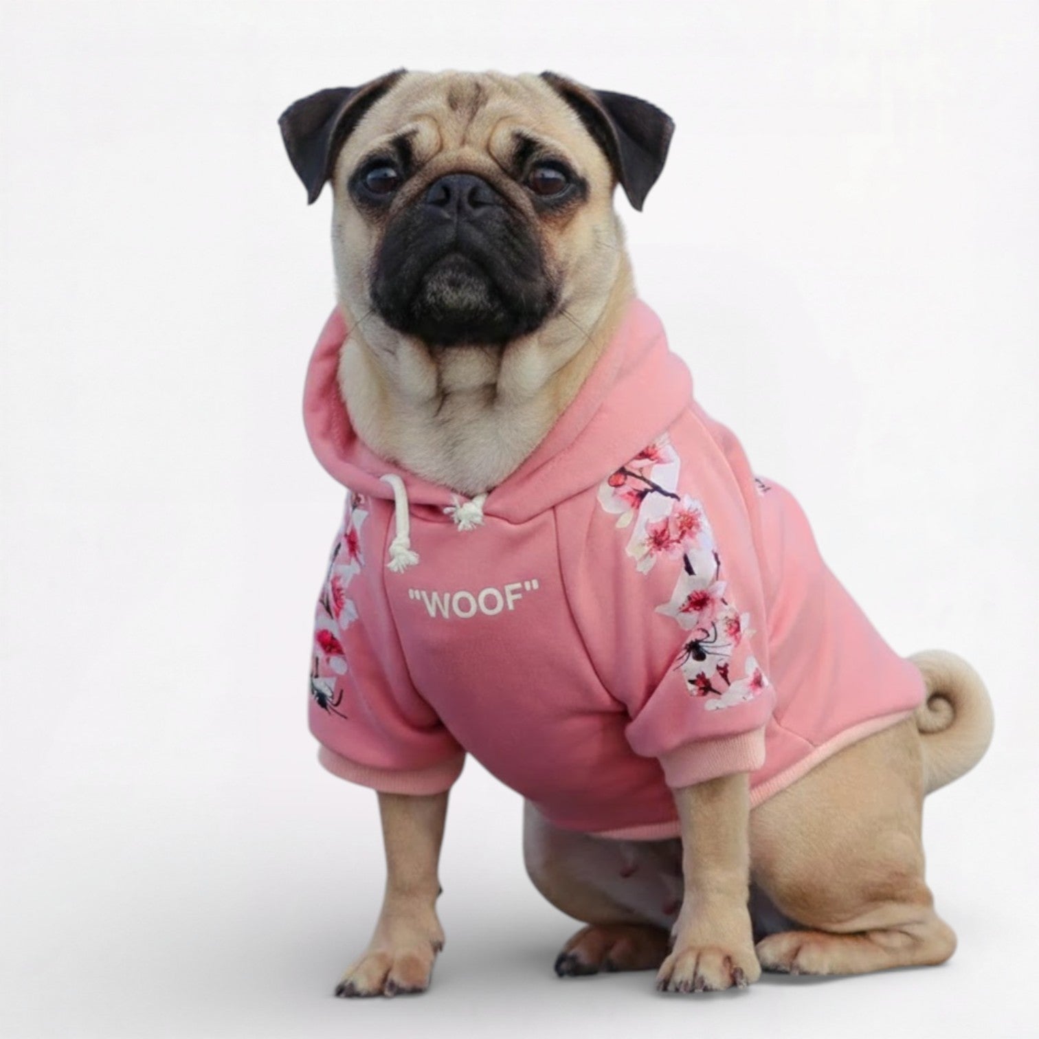 Frenchdot-Pug-Woof-Hoodie.jpg