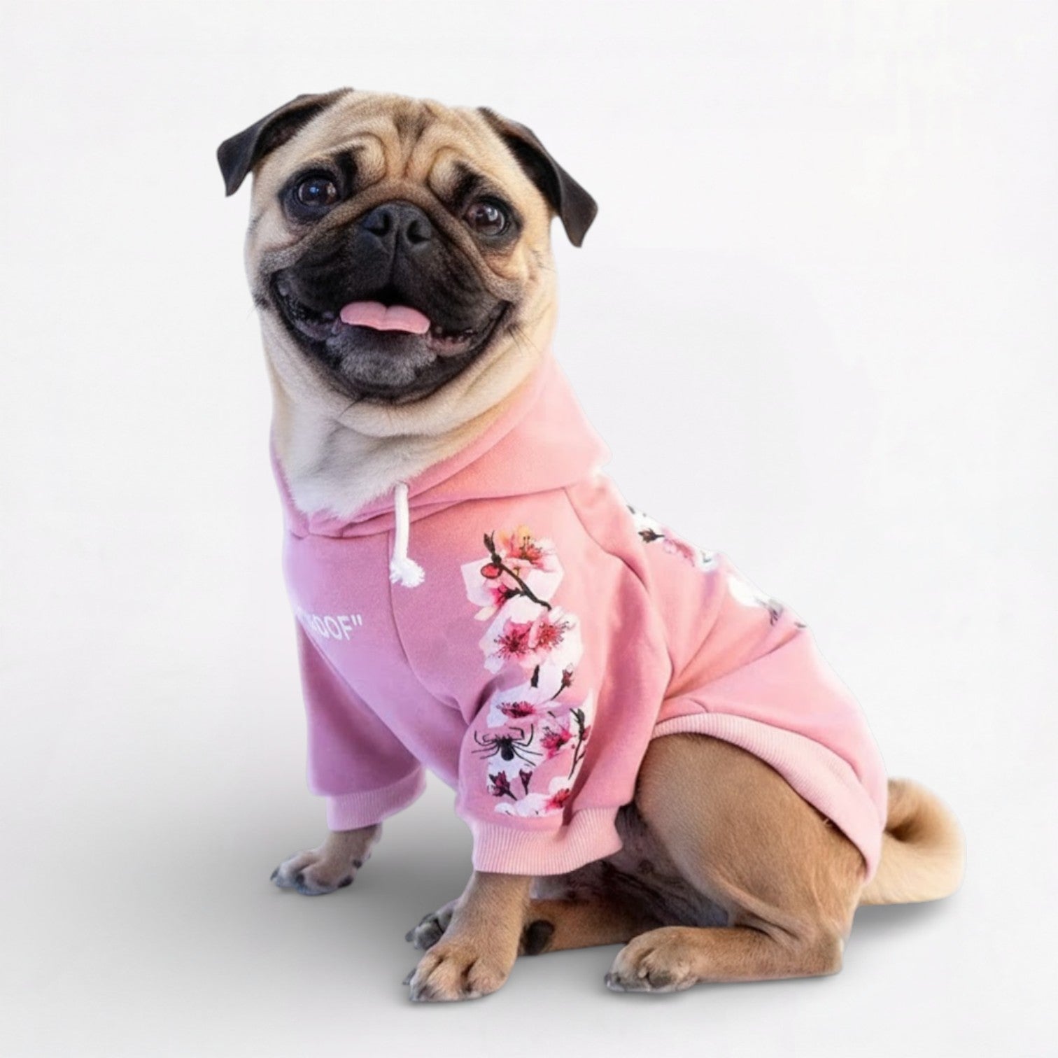 Frenchdot-Pug-Woof-Hoodie.jpg