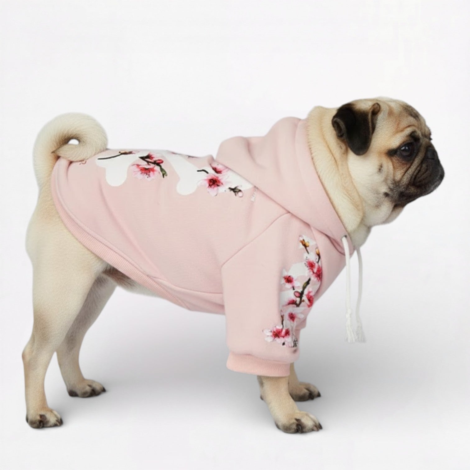 Frenchdot-Pug-Woof-Hoodie.jpg