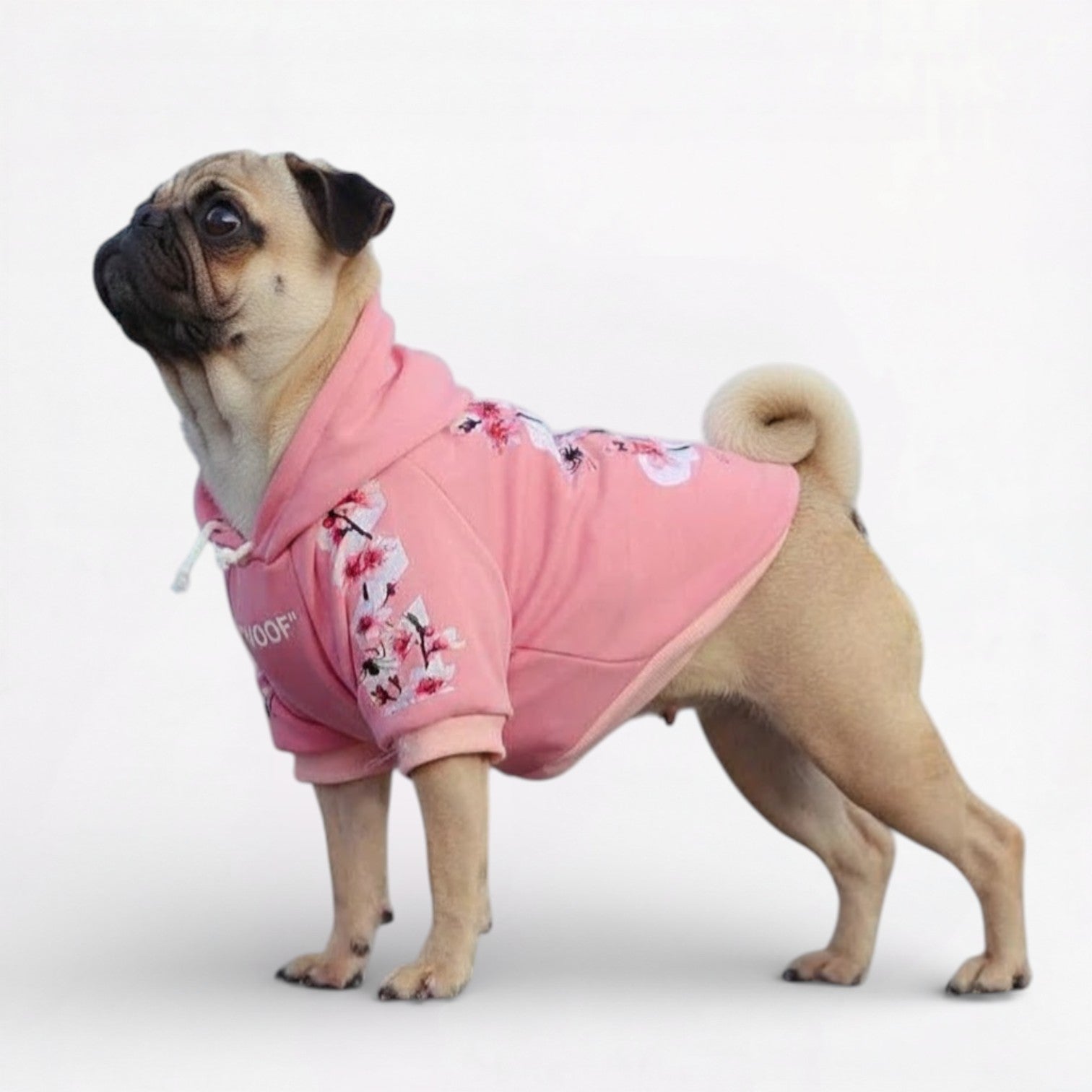 Frenchdot-Pug-Woof-Hoodie.jpg