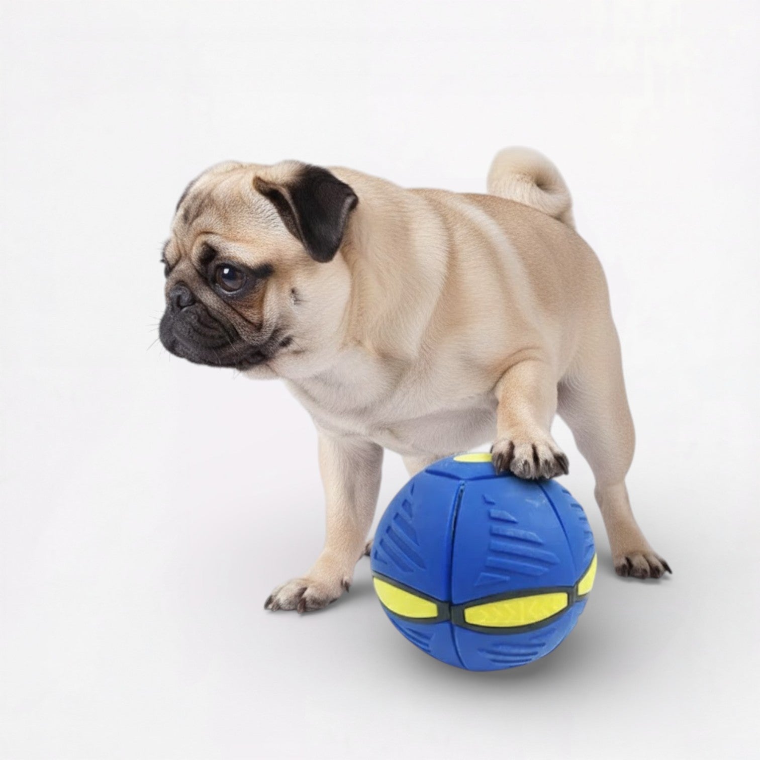 Frenlite-Pug-LED-Ball-Toy.jpg