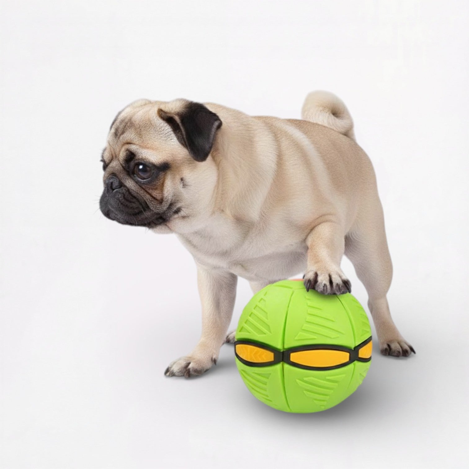 Frenlite-Pug-LED-Ball-Toy.jpg