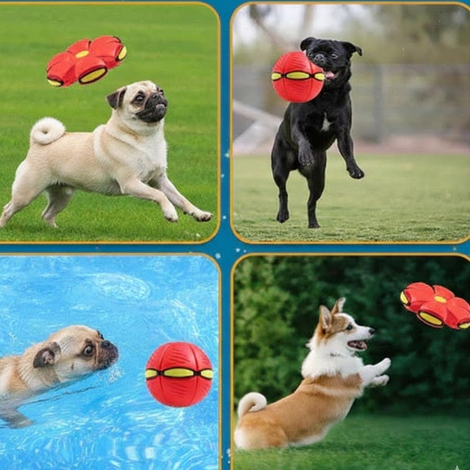 Frenlite-Pug-LED-Ball-Toy.jpg